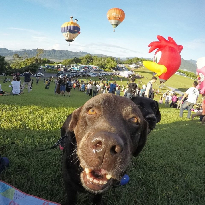 台東熱氣球嘉年華我們來啦~Taiwan Balloon Festival
