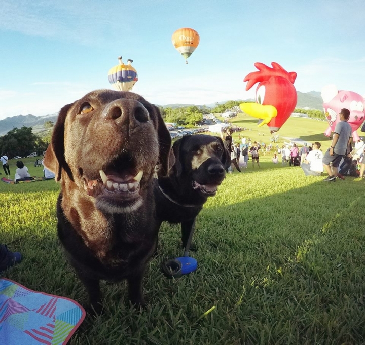 台東熱氣球嘉年華我們來啦~Taiwan Balloon Festival