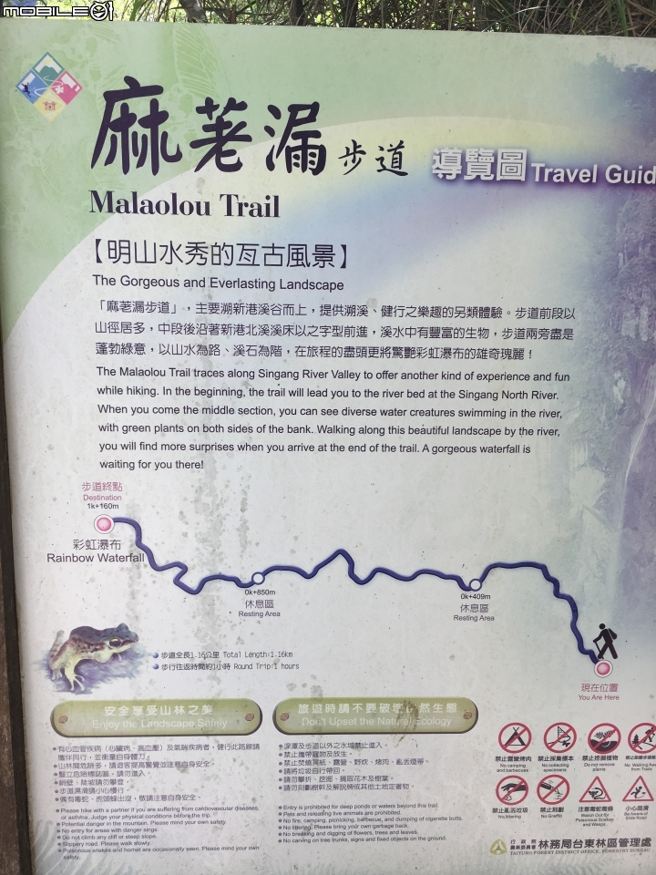 台東 成功 麻荖漏步道 目前要小心野蜂