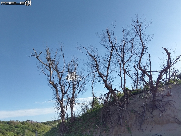 環島趣之第四度環島20170721-29