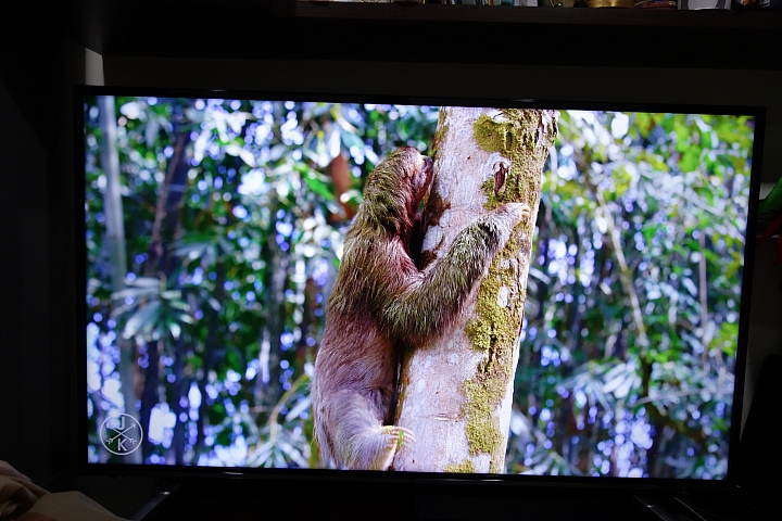 BenQ 49吋4K+HDR護眼電視49MR700開箱