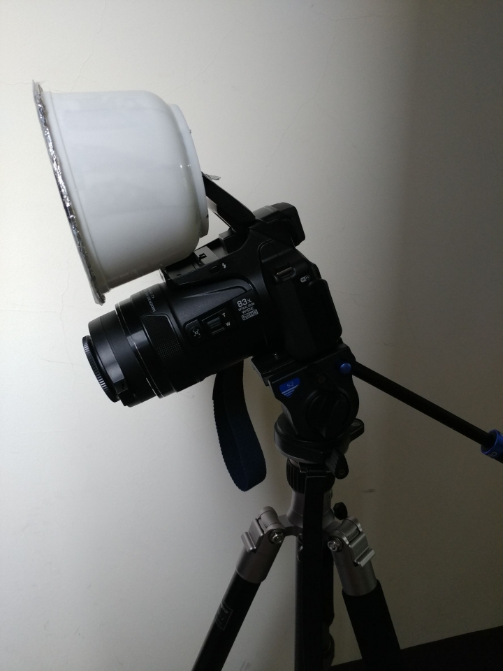 Nikon P900+DCR 250 超微距初體驗