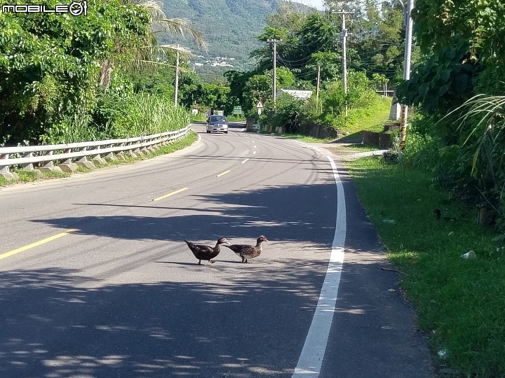 環島趣之第四度環島20170721-29