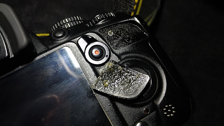 自己的蒙皮自己換!【NIKON D3100】