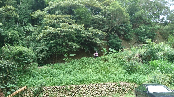 粉嶺族~一期一會三義野百合秘密花園