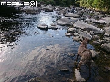 北台不錯的營地-張家莊4WD野營分享