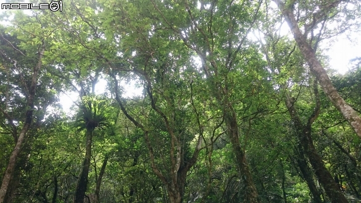 北台不錯的營地-張家莊4WD野營分享