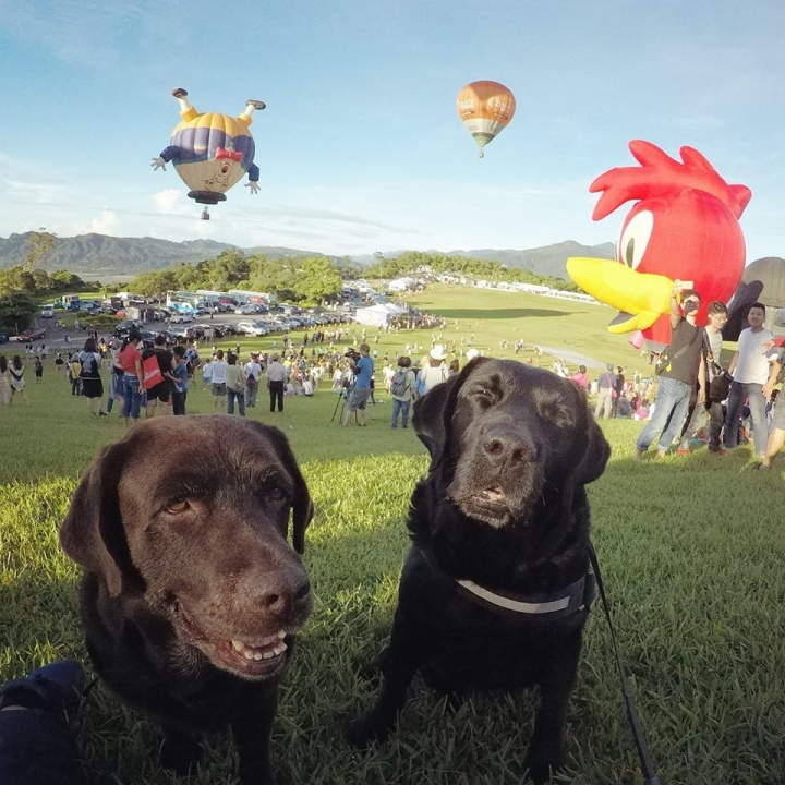 台東熱氣球嘉年華我們來啦~Taiwan Balloon Festival