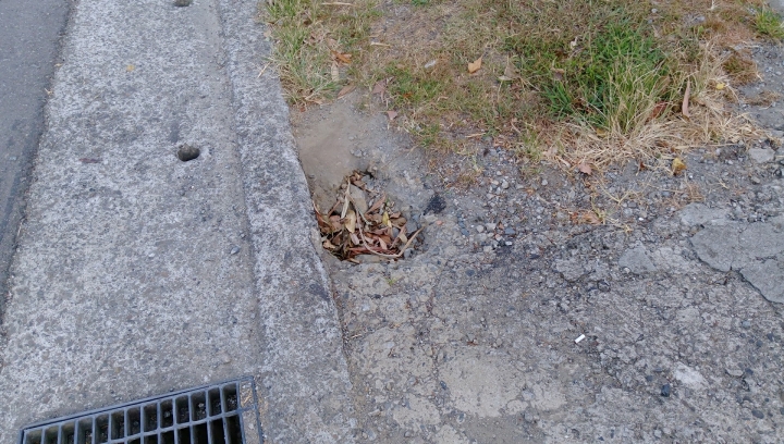 香草庭園咖啡門口有個大洞,造成我受傷新車受損! 請大家小心那個洞!