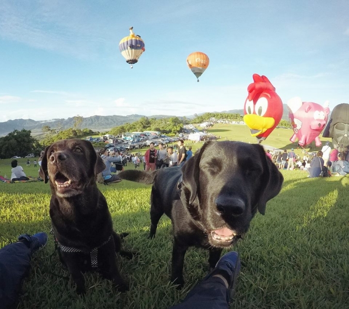 台東熱氣球嘉年華我們來啦~Taiwan Balloon Festival
