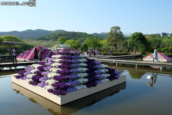 北關東花海漫遊-將春季花海盡收眼底