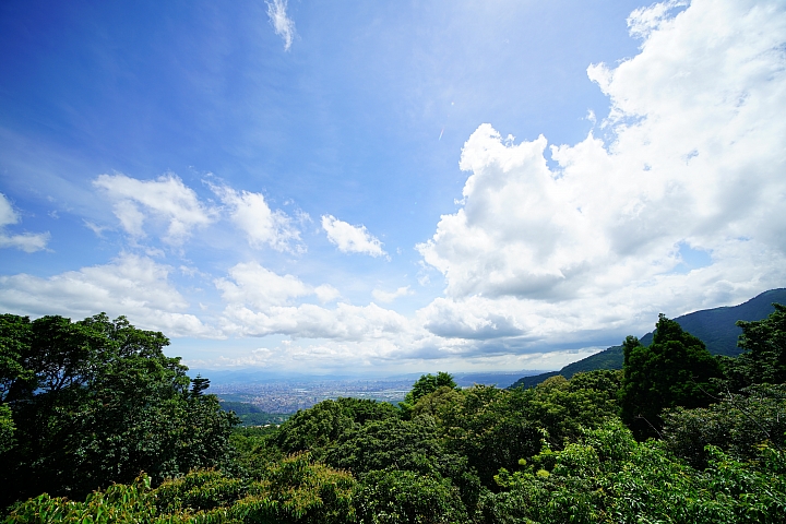 FE超廣角變焦鏡之王！Sony FE 12-24mm f/4 G