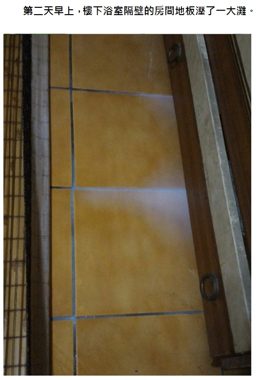 浴室使用金絲猴浸泡式矽酸質止漏液P-250(1加侖裝)