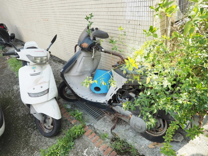 機車族真的要對o-Bike 好一點