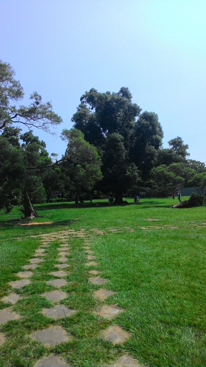 台中輕旅-都會公園+九天黑森林+東海大學