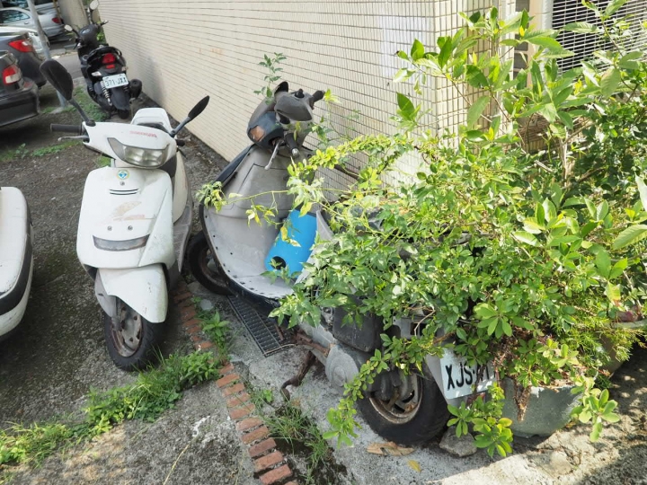 機車族真的要對o-Bike 好一點