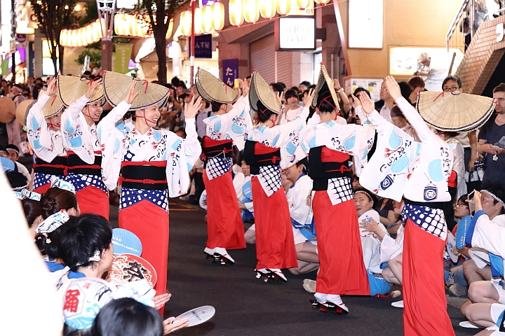 5D4 日本東北夏祭 (上集) 圖多 神楽坂阿波踊り大会 松本城太鼓大會 相馬野馬追