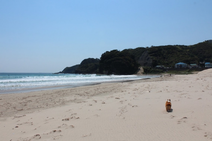 【日本,8200公里的流浪】03 # 伊豆半島的晴與雨