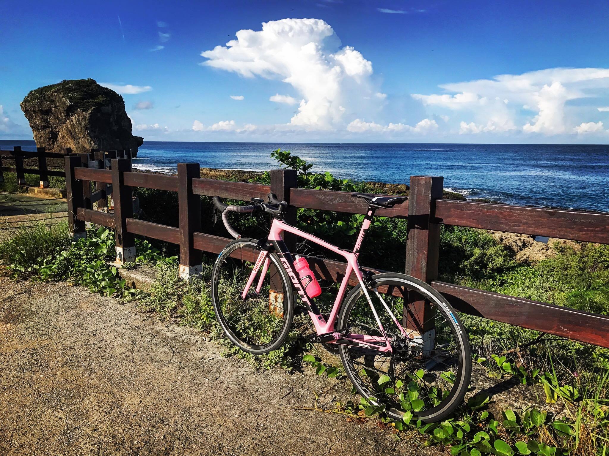 【微開箱】義式粉紅浪漫 GIANT TCR ADVANCED SL MAGLIA ROSA (圖多慎入)