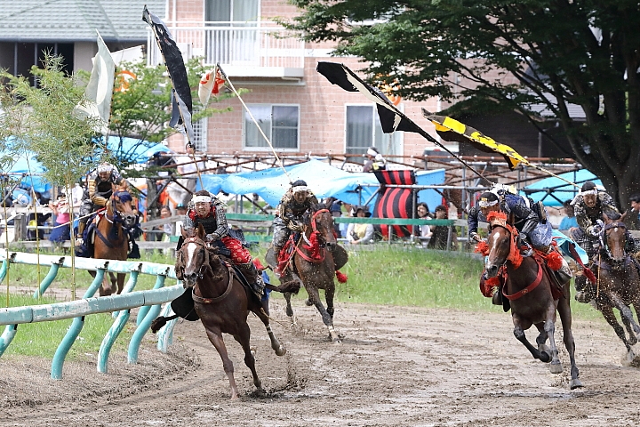 5D4 日本東北夏祭 (上集) 圖多 神楽坂阿波踊り大会 松本城太鼓大會 相馬野馬追