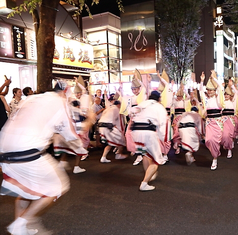 5D4 日本東北夏祭 (上集) 圖多 神楽坂阿波踊り大会 松本城太鼓大會 相馬野馬追