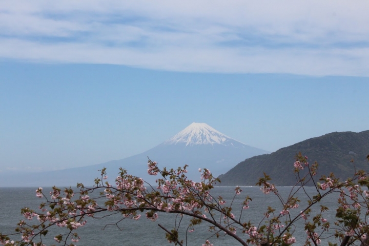 【日本,8200公里的流浪】03 # 伊豆半島的晴與雨