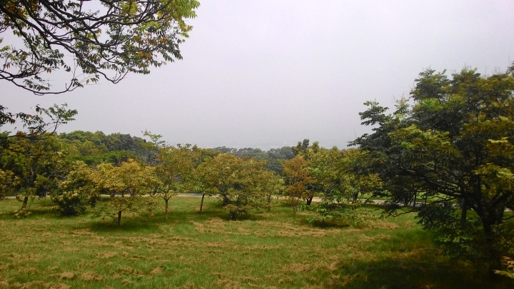 台中輕旅-都會公園+九天黑森林+東海大學