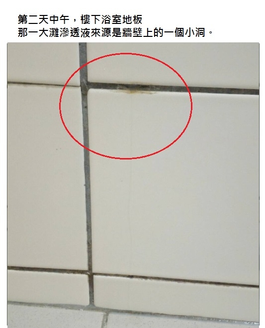 浴室使用金絲猴浸泡式矽酸質止漏液P-250(1加侖裝)