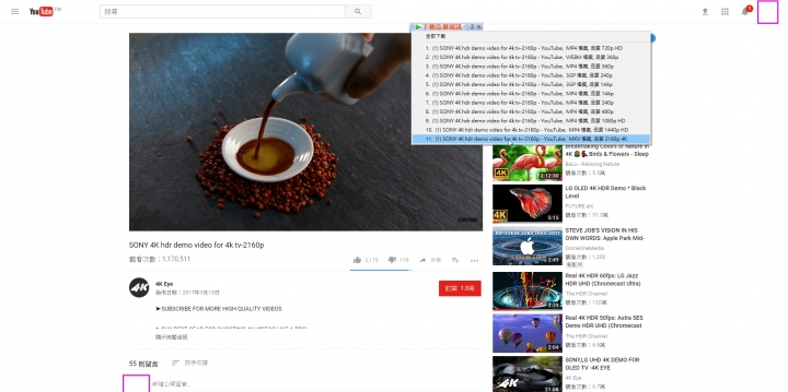 如何分辨YouTube上某一部號稱HDR影片是否為真正的HDR影片的方法;如何從YouTube上下載4K HDR影片的方法;如何從YouTube上下載4K SDR(10bit)影片的方法