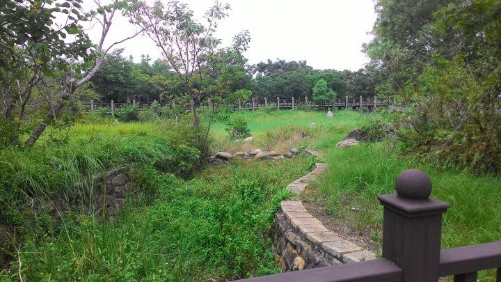 台中輕旅-都會公園+九天黑森林+東海大學