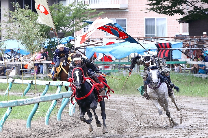 5D4 日本東北夏祭 (上集) 圖多 神楽坂阿波踊り大会 松本城太鼓大會 相馬野馬追