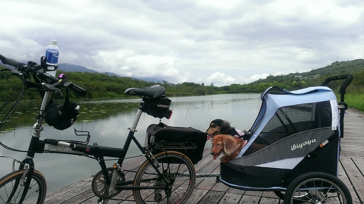 1人2犬單車+寵物拖車野營環島路線規劃