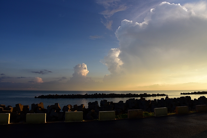 林園不只有石化廠,有浪漫的夕陽黃昏,秋風吹起了河邊芒花羽狀白一片的蒼茫。