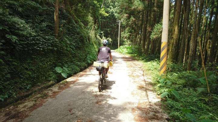 『那些Bikepacking的日子』 - 羅山林道