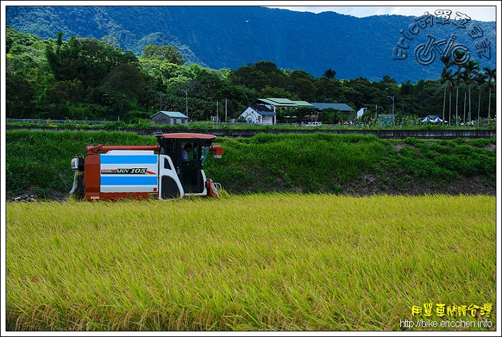 [Eric的單車日記] 花東縱谷南段 狼煙中的親子騎旅