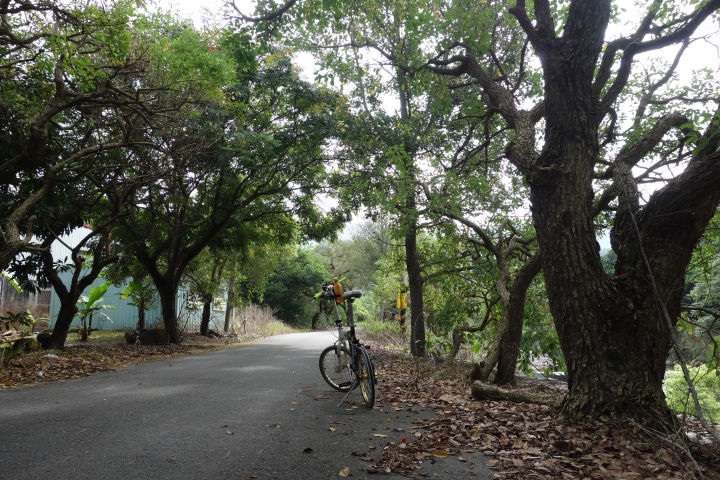 2017欣單車,南投中寮,龍鳳瀑布單車日,