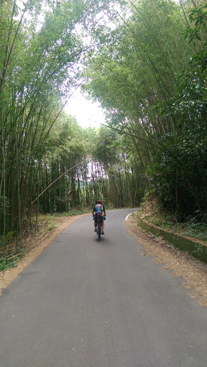 『那些Bikepacking的日子』 - 羅山林道