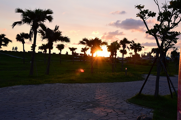 林園不只有石化廠,有浪漫的夕陽黃昏,秋風吹起了河邊芒花羽狀白一片的蒼茫。