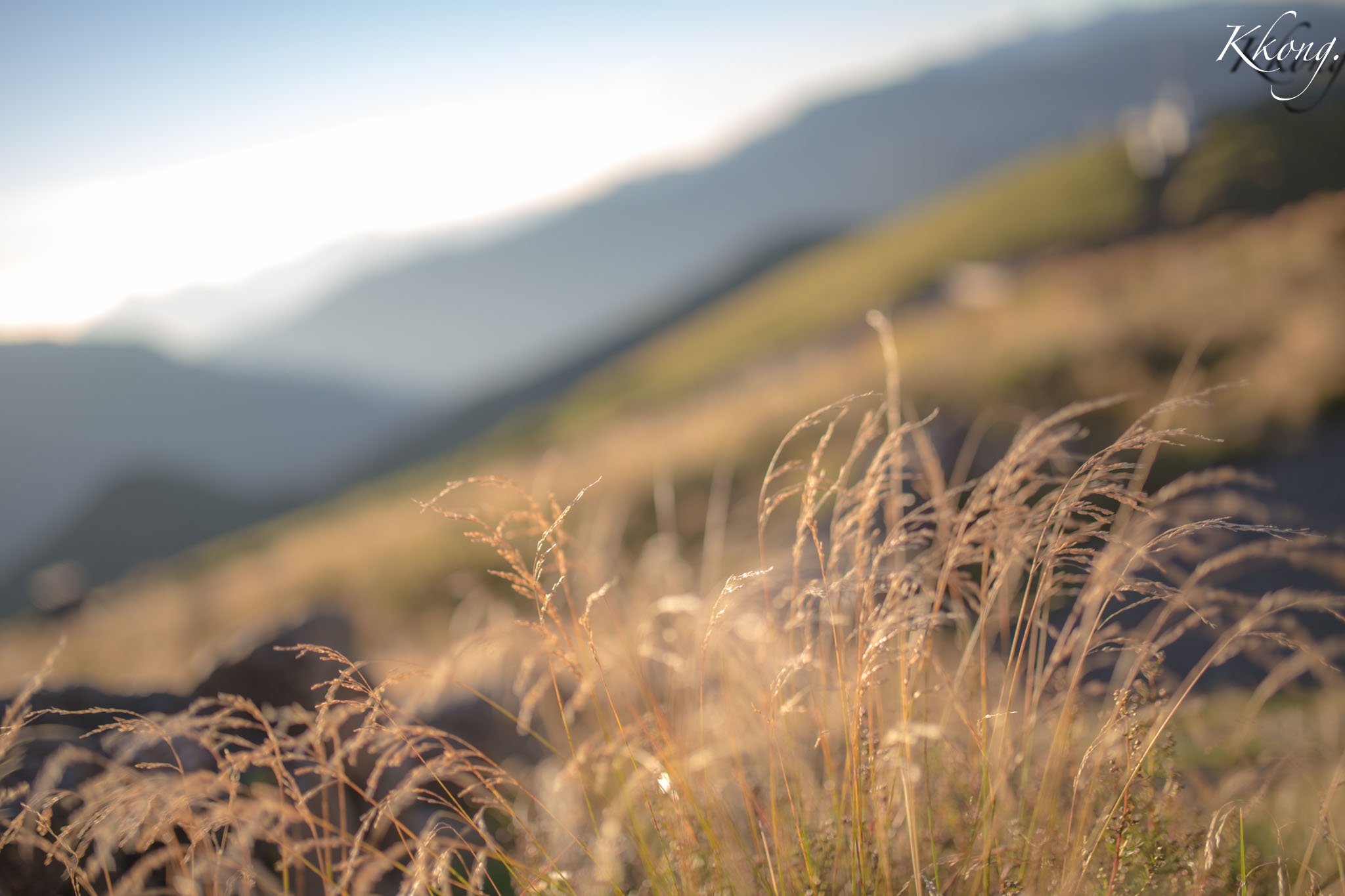 機車露營第四露,合歡主峰! (騎車、攝影、過夜) (未開火及睡眠)(帳篷為防止相機潮濕使用)