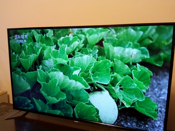 飛利浦55吋4K電視開箱分享