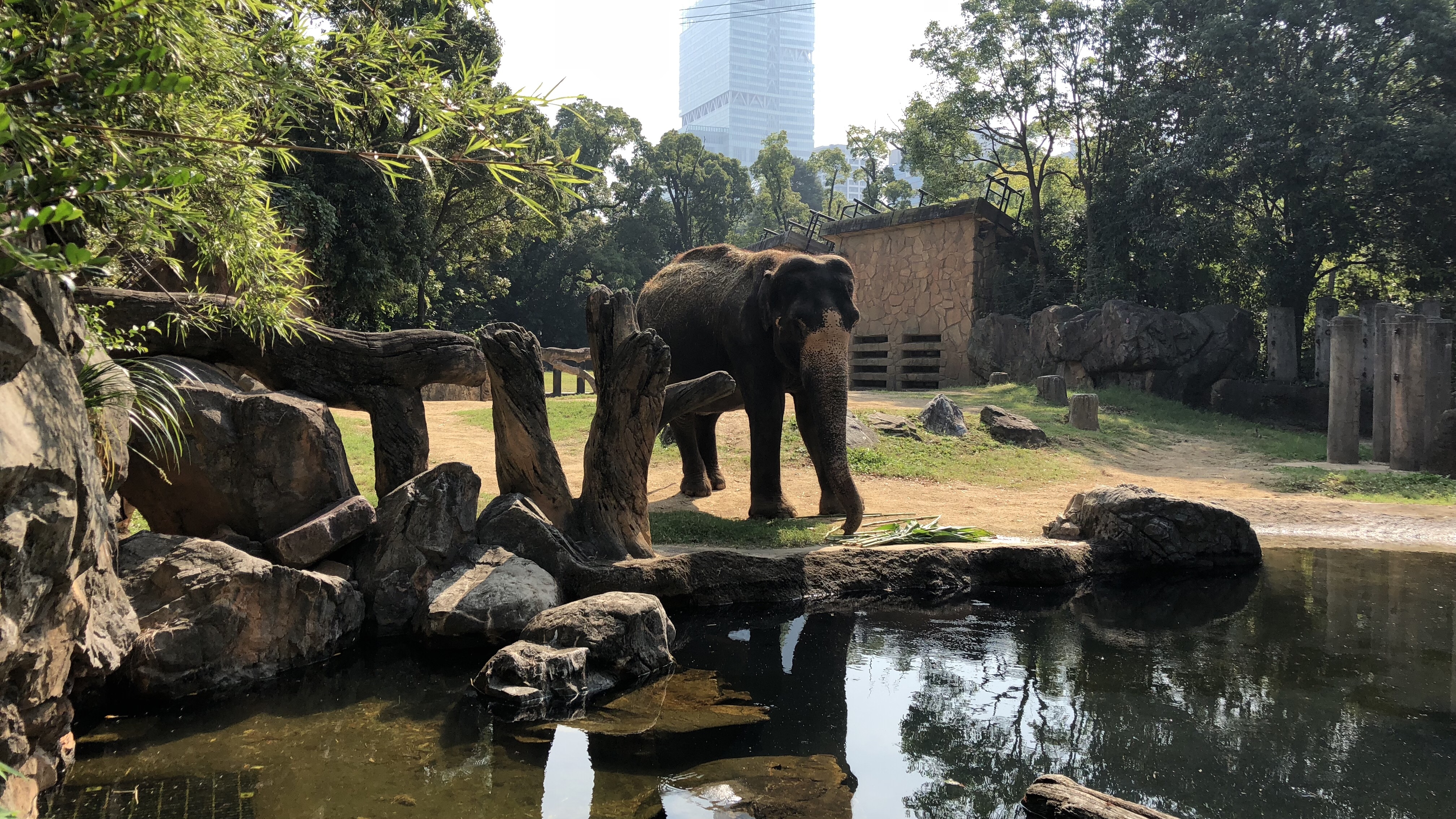 【iPhone8旅測】來趟京都大阪親子遊!代替單眼出任務!