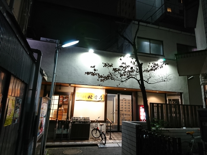 2017斷腿東京自由行第四日 (上野採買零食,台場,蛇骨湯)