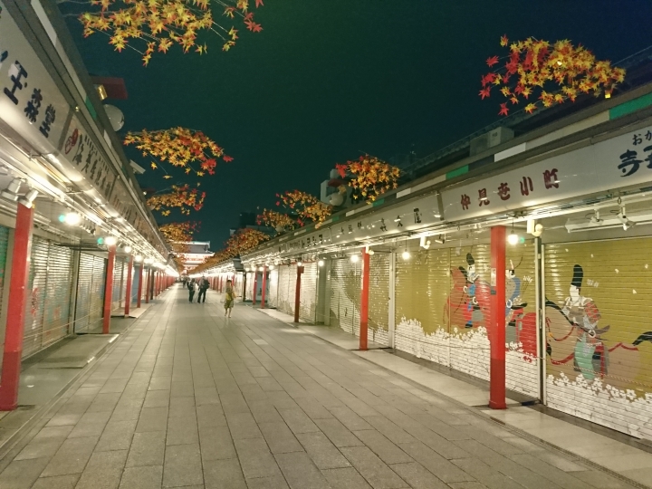 2017斷腿東京自由行第一日(成田山、上野、秋業原、夜晚的淺草寺)