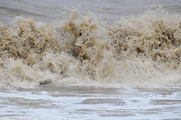 D850拍衝浪初體驗,衝浪似乎成了泡泥水浴。