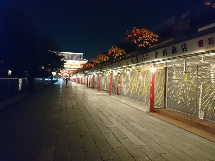 2017斷腿東京自由行第一日(成田山、上野、秋業原、夜晚的淺草寺)