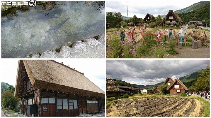 三軸穩定器 Swiftcam M4 x 日本立山黑部旅途實戰