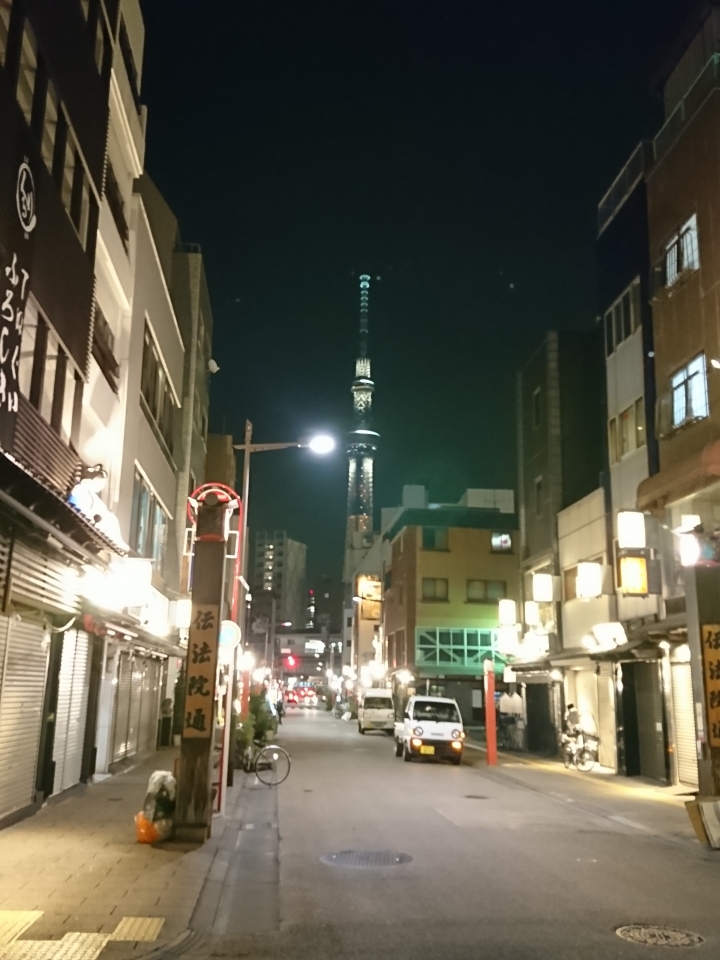 2017斷腿東京自由行第一日(成田山、上野、秋業原、夜晚的淺草寺)