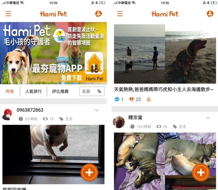 Hami Pet寵物智慧項圈分享