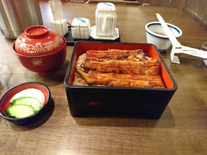 2017斷腿東京自由行第一日(成田山、上野、秋業原、夜晚的淺草寺)