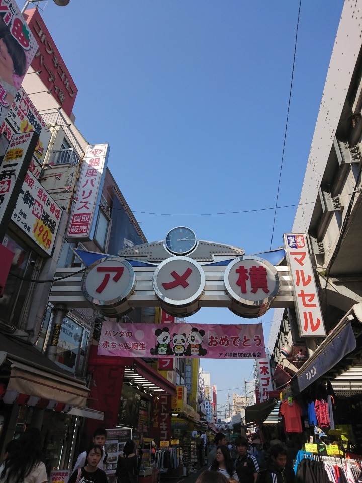 2017斷腿東京自由行第一日(成田山、上野、秋業原、夜晚的淺草寺)